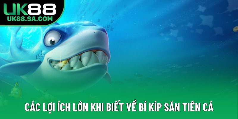 Các lợi ích lớn khi biết về bí kíp săn tiên cá