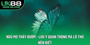 Ngủ Mơ Thấy Bướm - Lưu Ý Quan Trọng Mà Lô Thủ Nên Biết