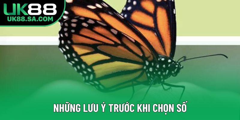 Những lưu ý trước khi chọn số