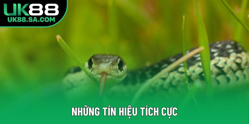 Những tín hiệu tích cực