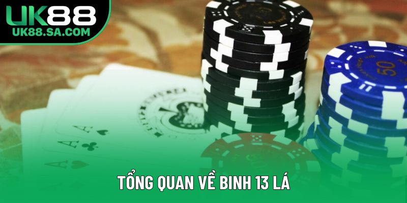 Tổng quan về Binh 13 lá
